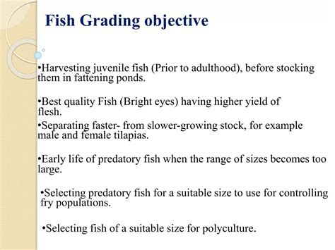 Fish food processing indu | PDF