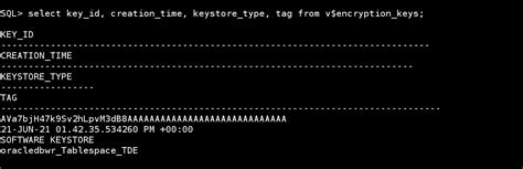 Oracle Database Encryption 12C 的图像结果
