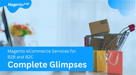Magento eCommerce Services for B2B and B2C: Complete Guide