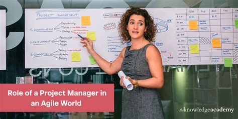 Image result for Project Manager Role Agile