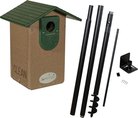 Amazon.com: JCs Wildlife Ultimate Eastern and Western Bluebird House ...