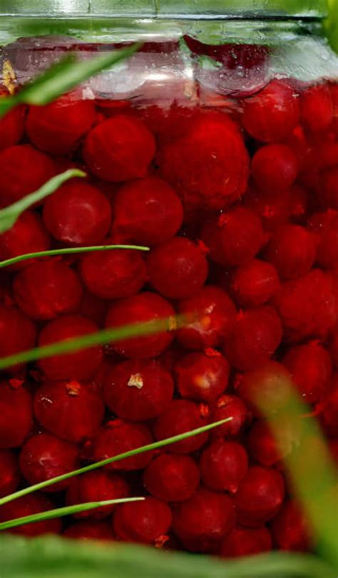 Frist med blå pai i helga