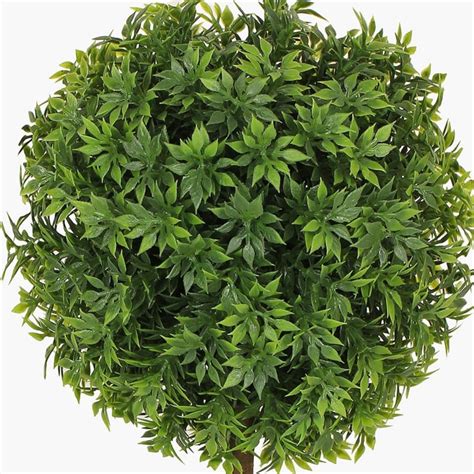 Buy Potted Monochoria Plant from Home Centre at just INR 599.0