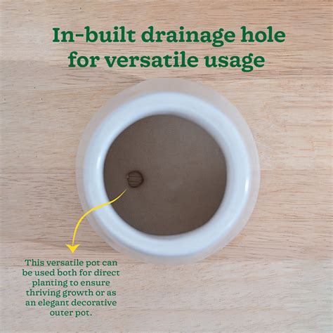 Tulip Fantasy Extra Small Ceramic Planter – Ugaoo