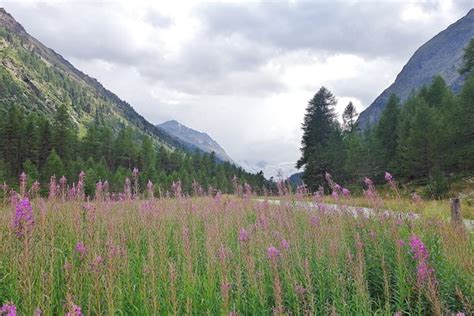 Val Roseg (Pontresina) - 2019 What to Know Before You Go (with Photos ...