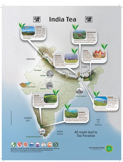 7 Indian Tea Regions You Should Know - Tea for Me Please