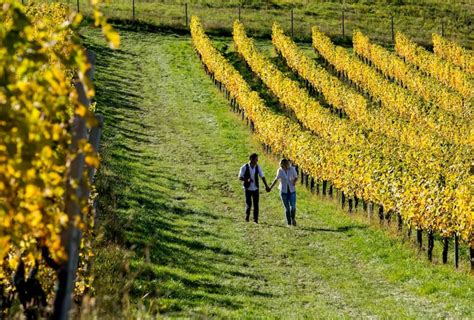 Wandern: Kulinarische Weinberg-Wanderung in Glanz an der Südsteirischen ...