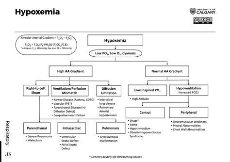 Image result for Hypoxemia Algorithm