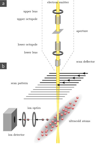 Electron Microscope Drawing 的图像结果