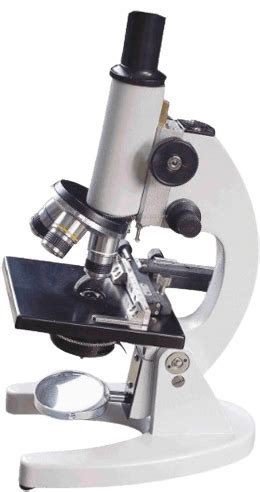 Image result for Monocular Compound Microscope