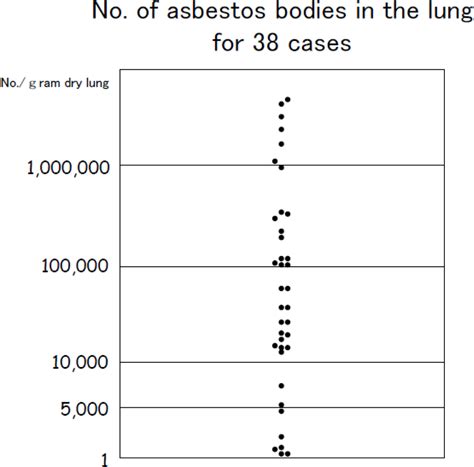 Clinical, Radiological, and Pathological Investigation of Asbestosis