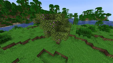 What Coordinates Are The Lush Caves In Minecraft at Arthur Snipes blog