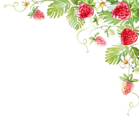 Strawberries Border Clip Art