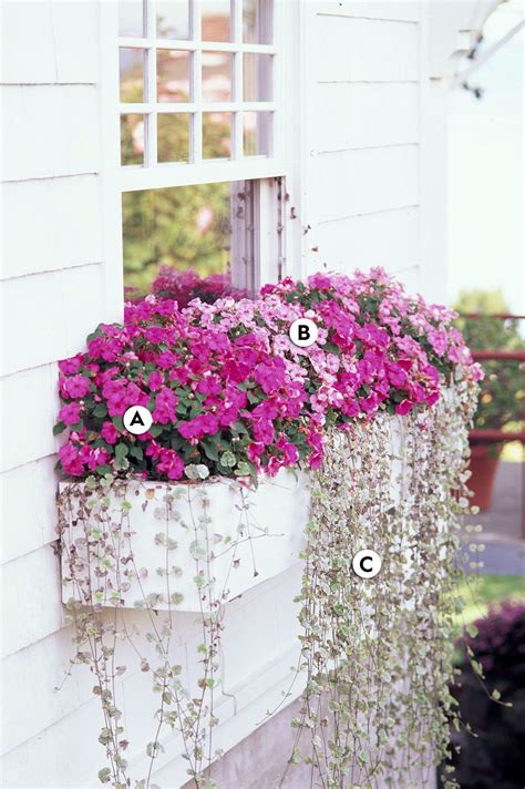 40 Window And Balcony Flower Box Ideas (PHOTOS) Window Box, 57% OFF