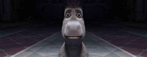 Shrek Donkey Meme Face Stream Lanky And Curly Cereal Box (Feat.