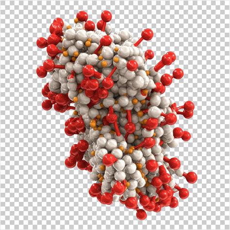 Protein Complex Structure 的图像结果