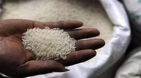 India Allows Export Of 75,000 Tons Of Non-Basmati White Rice To The UAE