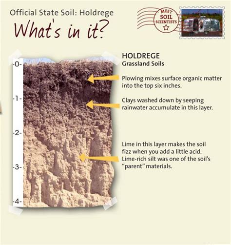 Nebraska Soil Testing Laboratories 的图像结果