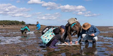 Marine Fest - Seagrass outdoor session, Tyninghame Beach (Parking ...