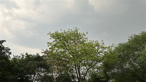 Weather Update: राजस्थान सहित दिल्ली-NCR में बदला मौसम का मिजाज, बारिश ...
