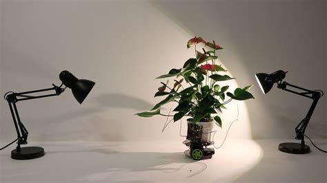 This cyborg houseplant can automatically drive itself toward light - Tech