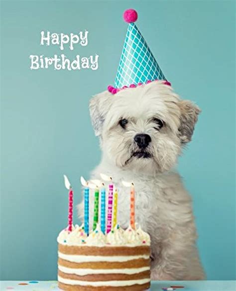 Voir les détails de l’image associée. 20+ hình ảnh happy birthday cute dogs đáng yêu nhất để chúc mừng sinh nhật
