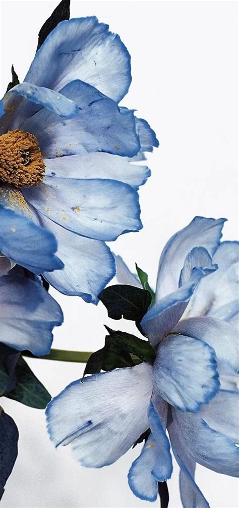 Blue Flowers Abstract Painting - painting of blue flowers
