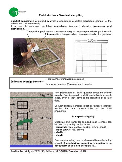Image result for Quadrat Sampling Explained