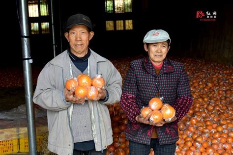 88岁老人为减轻儿女负担 往返30公里进城卖野菜[8]- 中国日报网