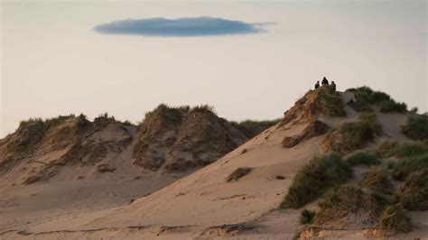 Beach Sand Dunes
