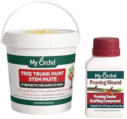 My orchd | Tree Care Combo – Tree Trunk Paint (2kg) + Pruning Sealer ...