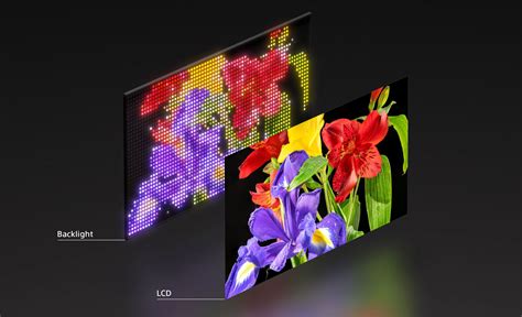 Image result for Sony Monitor Mini LED