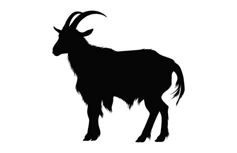Image result for Best WA. Some Python Projects