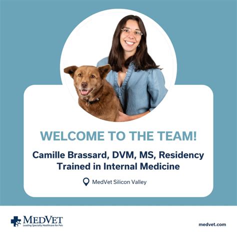 Meet the newest member of MedVet Silicon Valley's Internal Medicine department — Dr. Camille ...