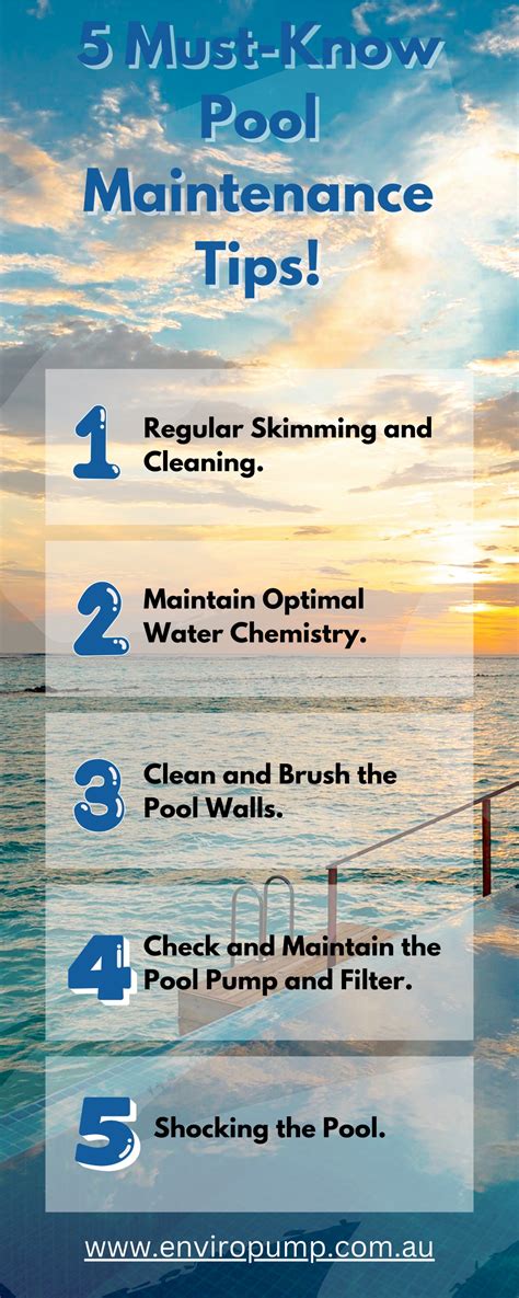 Pool Maintenance Tips 的图像结果