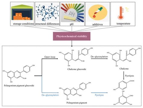 Advances in the Preparation, Stability, Metabolism, and Physiological ...