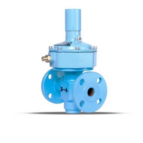 Safety Relife Valves - FLAME ARRESTOR WITH NON RETURN VALVE 9109 I ...