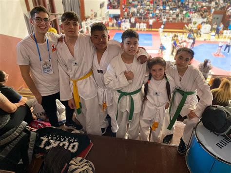 Escuela de Taekwondo Luxen Alexis | El pasado domingo 17 participamos en el torneo de Tigger ...