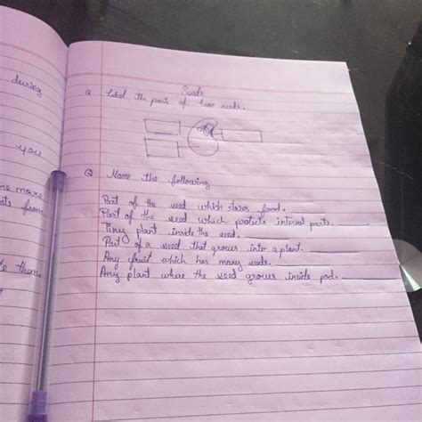 Pls answer fast as this is my Homework - Brainly.in