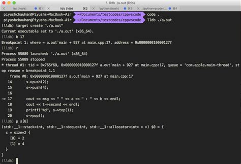 Vscode C Debugging 的图像结果