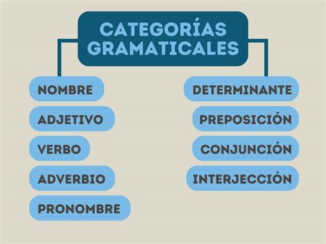 Categorías gramaticales: cuáles son y ejemplos - Enciclopedia Significados