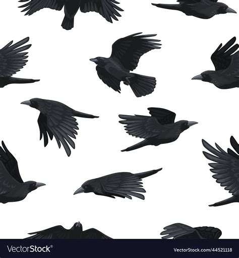 Image result for Crow Pattern-Free