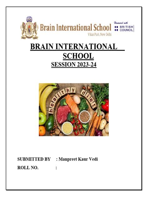 Image result for How to Make Project File of Python IP