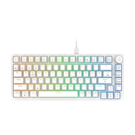 Amazon.in: Buy Cosmic Byte CB-GK-42 Phantom TKL Gasket Mechanical RGB ...