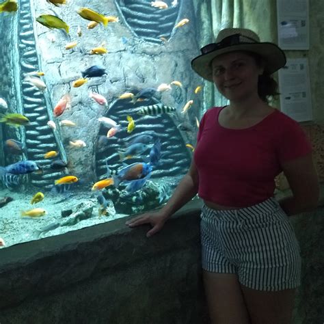 Do Fish Have Blood? Facts You Never Knew - Perfect Animals