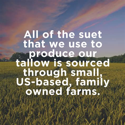 Why You Should Be Using Beef Tallow in Your Skin Care Routine – FATCO Skincare Products