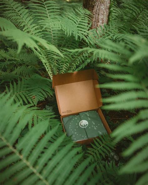 Image result for Paper Reusing