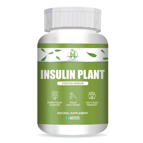 Insulin Plant – Healthy Nutrition
