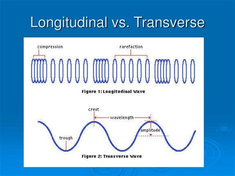 PPT - Exploring Wave Motion: Mechanical vs. Electromagnetic PowerPoint ...