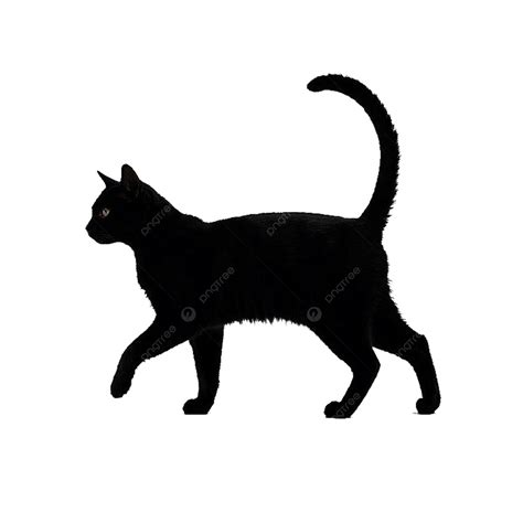 Vector Silhouette Of A Cat, Vector Silhouette, Cat, Animal PNG Transparent Image and Clipart for ...